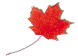 Canada Maple Leaf