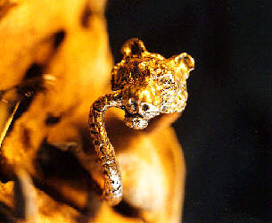 "Tiger Ring by Darcy Gertz